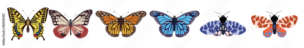Fototapeta premium collection of elegant exotic butterflies and moths isolated