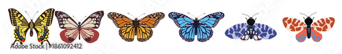 collection of elegant exotic butterflies and moths isolated