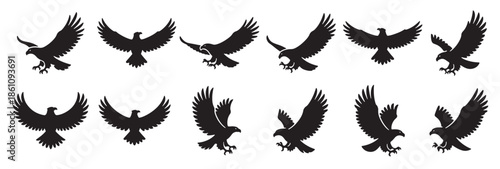  eagle silhouettes set black and white