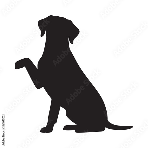 A striking silhouette of a dog sitting and raising its paw showcasing a classic canine pose