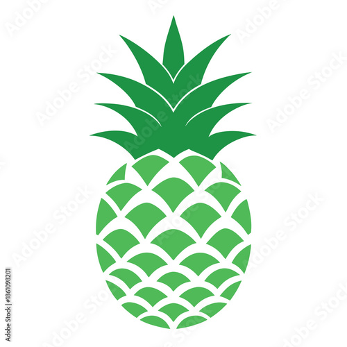 vector illustration of pineapple