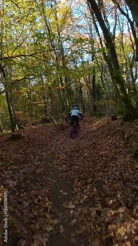 Wallpaper Mural Mountain Biker Riding Through a Beautiful Autumn Forest on a Challenging Dirt Trail Torontodigital.ca