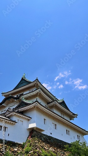 青空と春の和歌山城天守閣