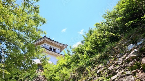 青空と新緑に映える和歌山城の風景