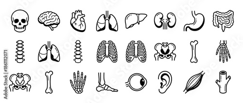 A collection of black and white illustrations of human anatomy.