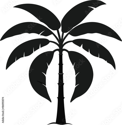 banana tree vector illustration