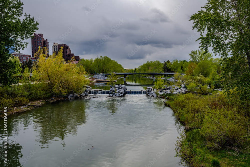 Fototapeta premium River, footbridge and park with city buildings in Calgary