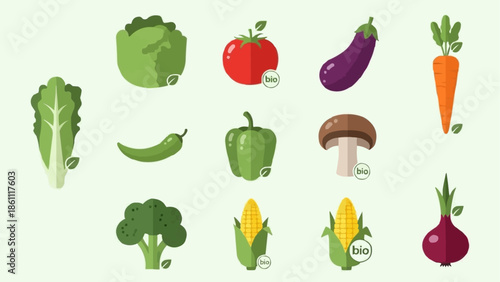 Collection of Fresh Vegetables Isolated on Light Green Background.