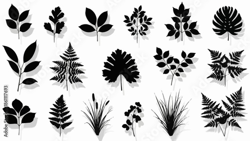 Collection of Black Silhouette Plant Leaves and Stems.