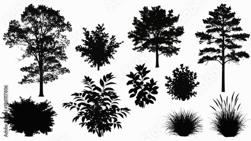 Collection of Black Silhouette Trees and Bushes Isolated on White.