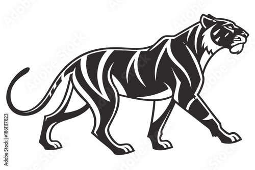 Placeholder image display