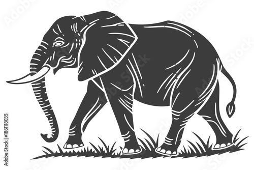 Placeholder image display