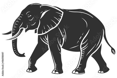 Placeholder image display