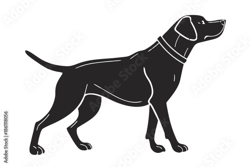 Placeholder image display