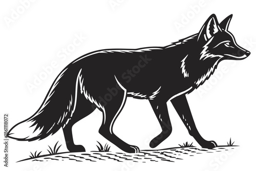 Placeholder image display