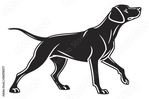 Placeholder image display