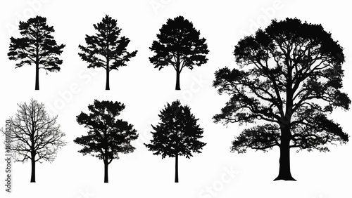 Collection of diverse tree silhouettes isolated on white background.