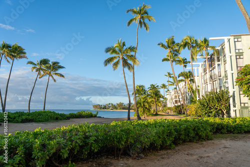 Wallpaper Mural tropical Hawaiian beach with palm trees Torontodigital.ca