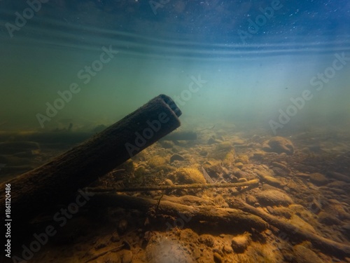wooden driftwood log on bottom aquascape, murky water, organic particle silt, sand alluvium sediment on pebble substrate after flood, green algae on stone, surface wave, shallow river Uzh in Uzhhorod