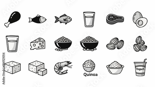 Collection of healthy protein rich food icons and illustrations.