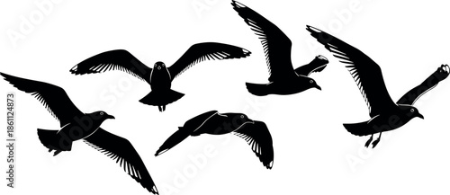 Black silhouette set of seagulls flying in sky isolated on white background vector illustration for coastal summer beach nature design