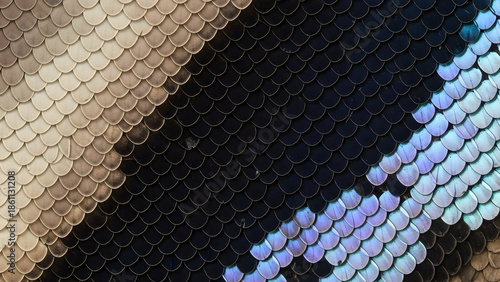 Sequined fabric showcasing a gradient of colors from beige to purple, highlighting the shiny texture and luxurious feel of the material.