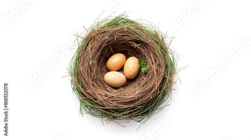 Bird nest with three eggs