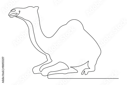 Minimalist dromedary camel continuous line drawing simple style outline