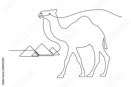Simple outline illustration of a desert camel continuous single line art