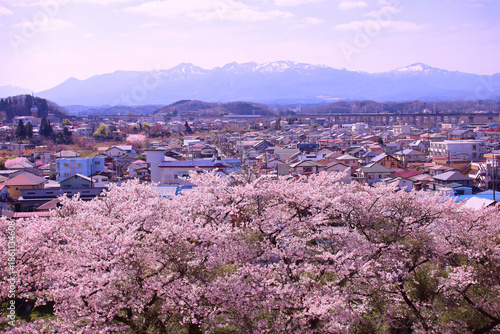 白河市　城山公園から見た満開の桜と街並み