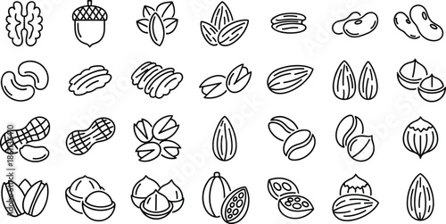Complete outline icon set of various nuts and seeds featuring walnuts almonds pistachios peanuts hazelnuts cashews and coffee beans for healthy snack designs