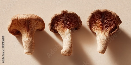 Three textured mushrooms, showcasing gills, presented against a beige background with soft shadows