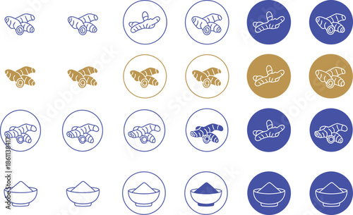 Ginger root and powder in blue and gold circles spice