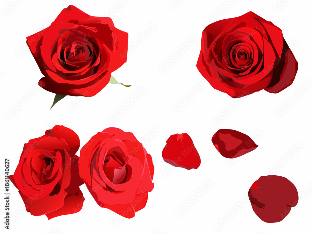 Naklejka premium Vibrant red roses and scattered petals on a plain white background
