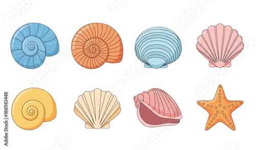 Beach sea shells vector illustration set with spiral shell clam and starfish isolated on white background
