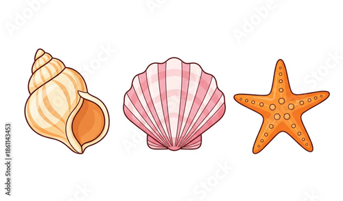 Cartoon beach shells vector set with spiral shell clam and starfish isolated on white background