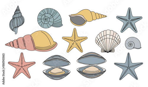 Marine shell vector collection with spiral shells clams and starfish in flat style isolated on white background
