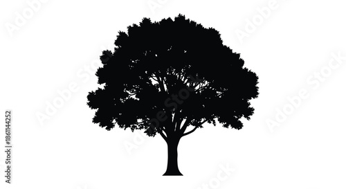 A striking black tree form against a white backdrop powerfully representing nature s beauty silhouette