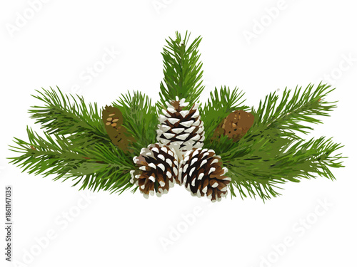 A festive arrangement of pine branches and pine cones on a white background