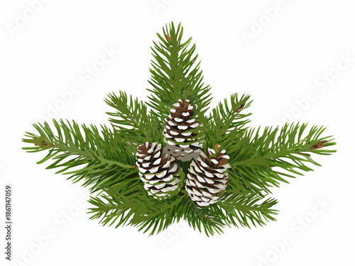 A festive arrangement of green pine branches and three detailed pinecones