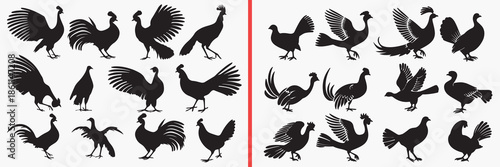 bird silhouette vector, poultry bird black silhouettes, chicken rooster illustration set, farm bird outline art, animal vector collection, bird icon set, poultry clipart silhouettes, agriculture graph