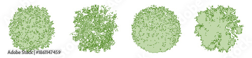 Tree Top View CAD Blocks, Green Canopy Vector Elements for Landscape Architecture
