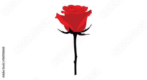 A striking red rose with a dark stem and thorns presented as a bold silhouette