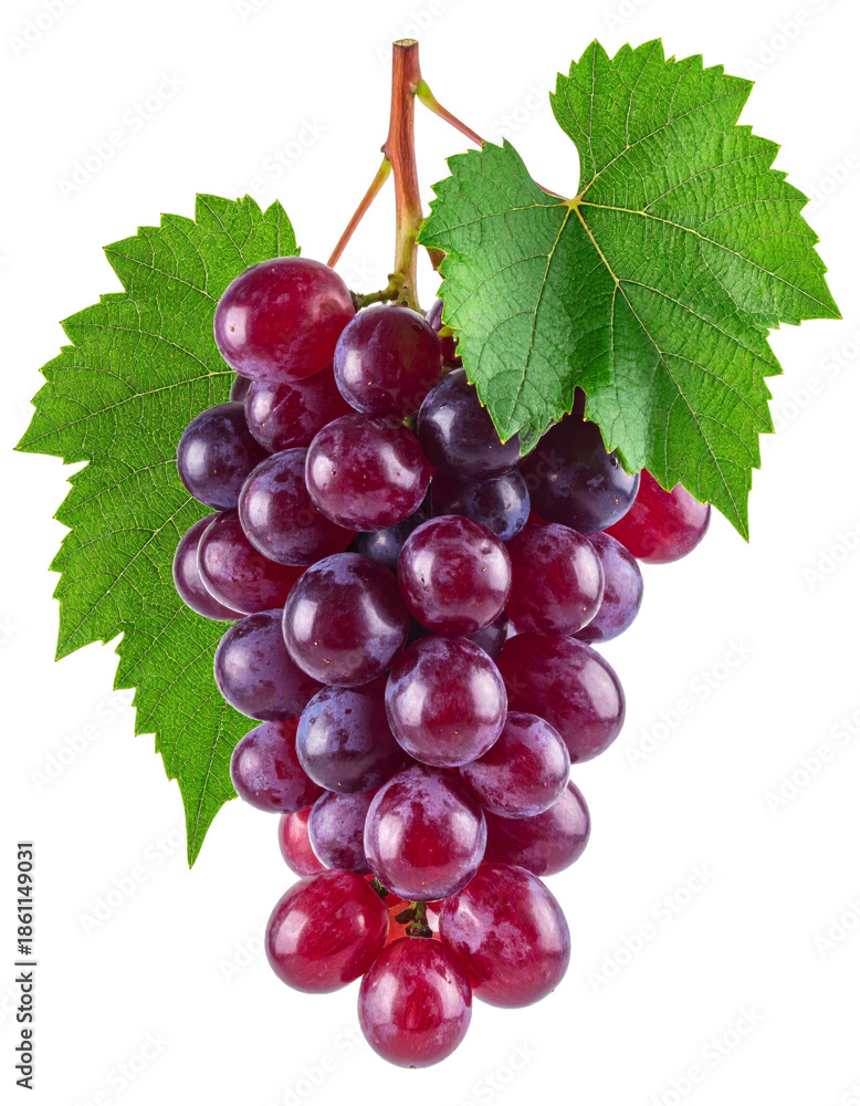 Fototapeta premium Fresh red grape cluster with green stem isolated on transparency background, showing juicy, ripe, and healthy fruit perfect for snacks, desserts, or juice