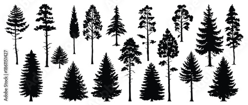 Pine Tree Silhouettes Vector Set, Evergreen Forest Firs and Spruces Black Shapes, Wild Nature Woodland Trees Templates on White Background
