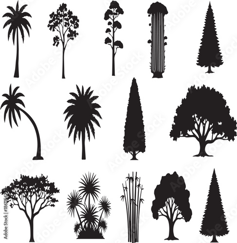 Assortment of Black Tree Silhouettes and Bamboo Stalks on White Background palm tree