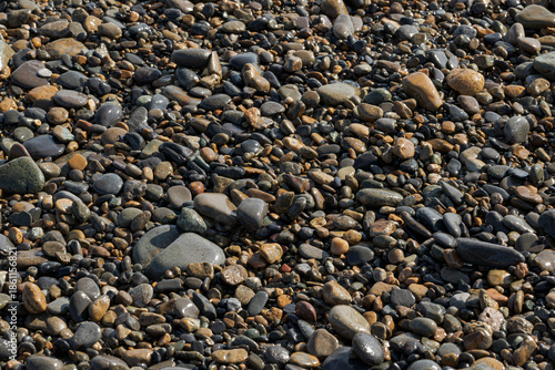 Wallpaper Mural 海水で濡れた砂利 Torontodigital.ca