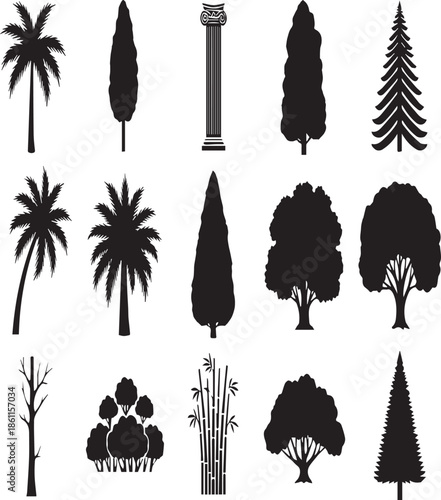 Collection of Black Tree Silhouettes and Classical Column Vector Graphics palm tree