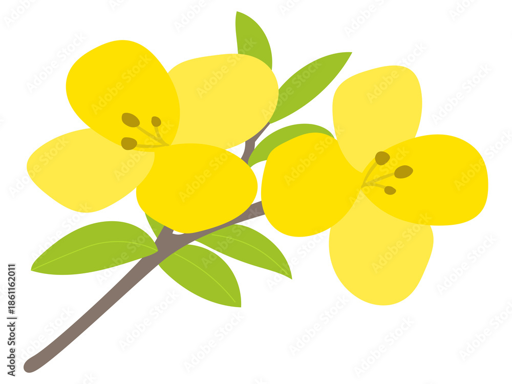 custom made wallpaper toronto digitalspring illustration image