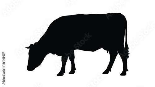 A detailed black silhouette of a grazing cow in a field silhouette